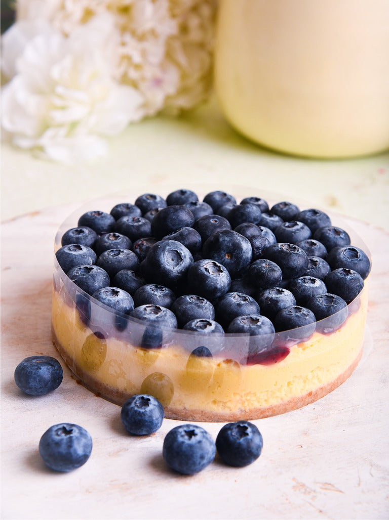 Fresh blueberry cheesecake